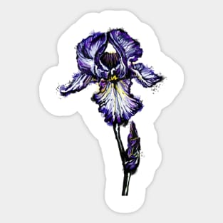 Iris Sticker